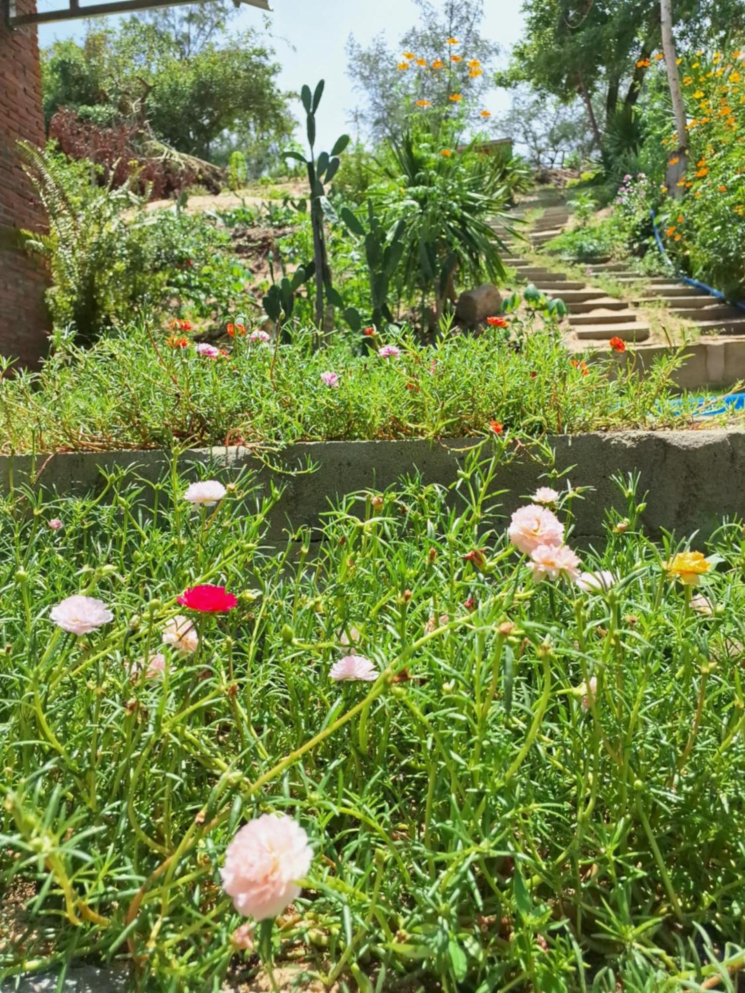 Homestay Dat Phu Tuy Hoa Exterior foto